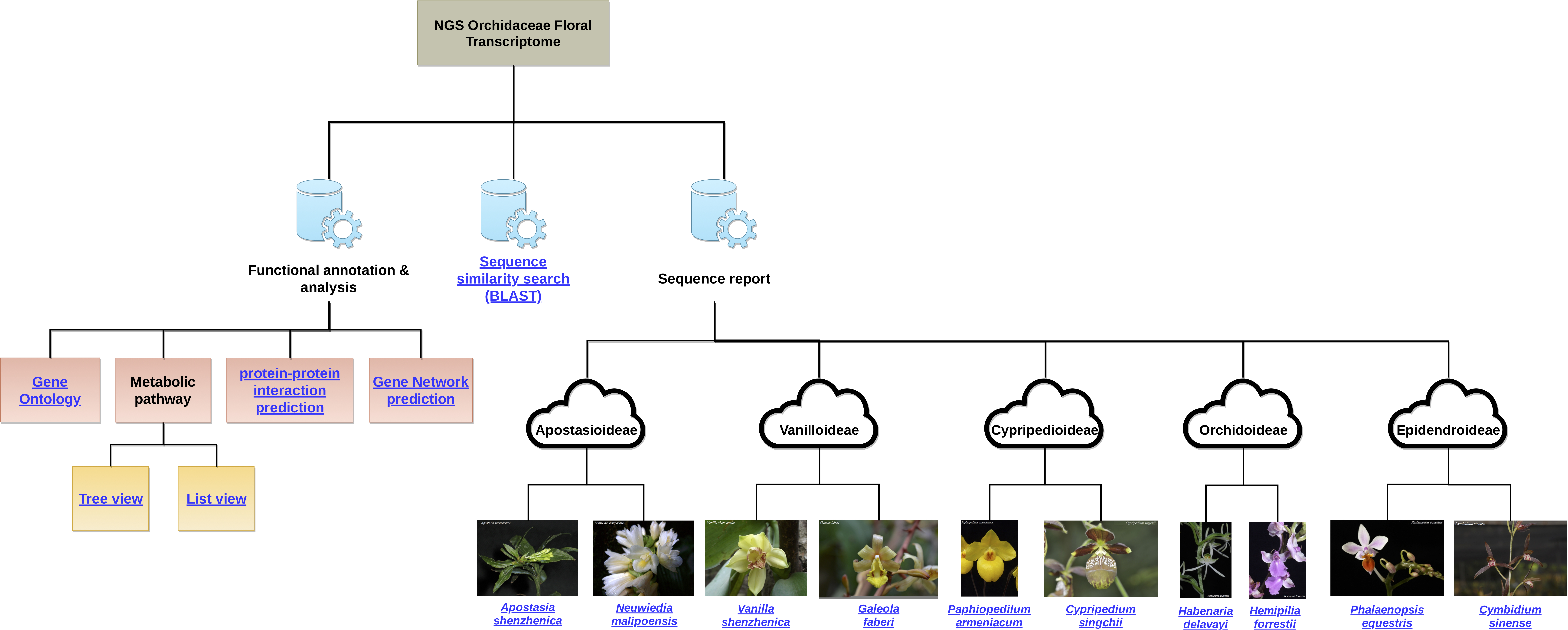 Transcriptome Sanger